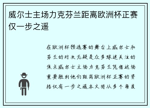 威尔士主场力克芬兰距离欧洲杯正赛仅一步之遥 威尔士主场力克芬兰距离欧洲杯正赛仅一步之遥